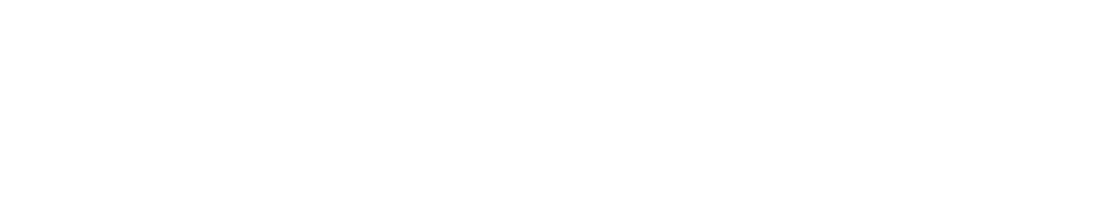 DR. MD. RAKIZ KHAN